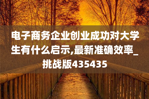 电子商务企业创业成功对大学生有什么启示,最新准确效率_挑战版435435