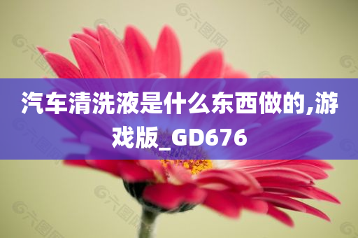 汽车清洗液是什么东西做的,游戏版_GD676