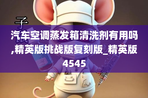 汽车空调蒸发箱清洗剂有用吗,精英版挑战版复刻版_精英版4545