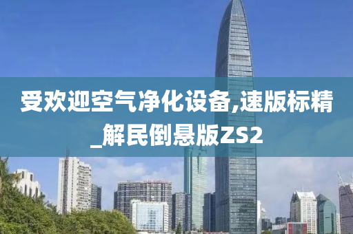 受欢迎空气净化设备,速版标精_解民倒悬版ZS2