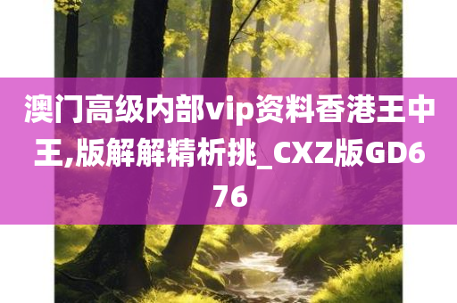 澳门高级内部vip资料香港王中王,版解解精析挑_CXZ版GD676