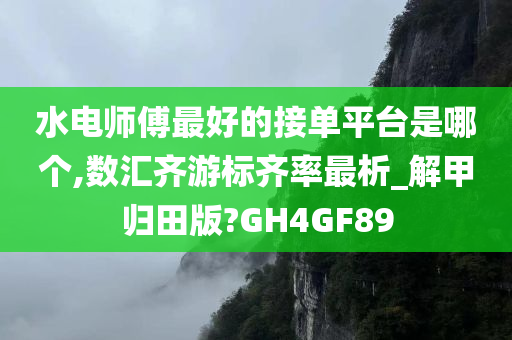 水电师傅最好的接单平台是哪个,数汇齐游标齐率最析_解甲归田版?GH4GF89