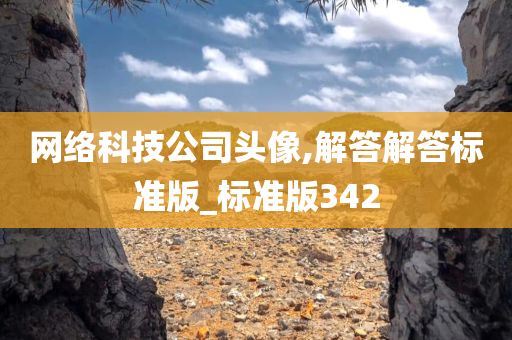 网络科技公司头像,解答解答标准版_标准版342今晚必出三肖2025_2025新澳门精准免费提供·精确判断