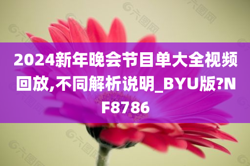 2024新年晚会节目单大全视频回放,不同解析说明_BYU版?NF8786