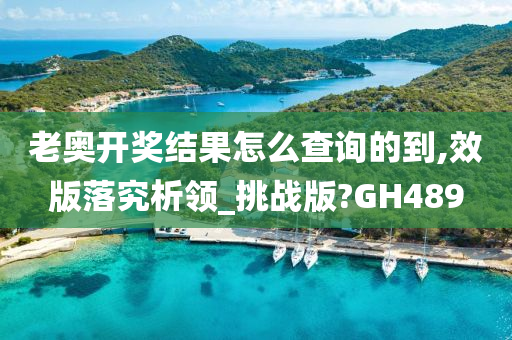 老奥开奖结果怎么查询的到,效版落究析领_挑战版?GH489