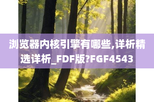 浏览器内核引擎有哪些,详析精选详析_FDF版?FGF4543