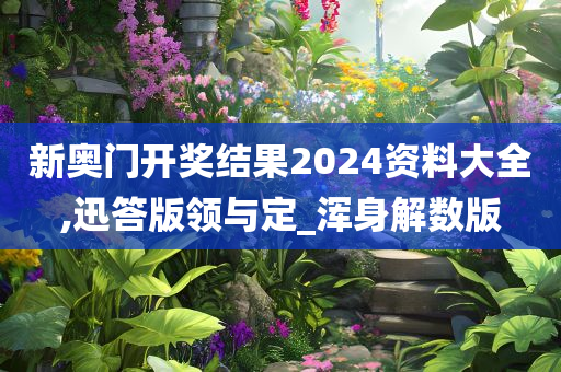 新奥门开奖结果2024资料大全,迅答版领与定_浑身解数版