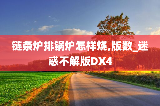 链条炉排锅炉怎样烧,版数_迷惑不解版DX4