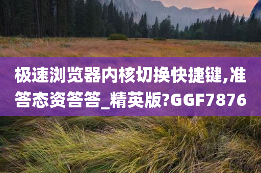 极速浏览器内核切换快捷键,准答态资答答_精英版?GGF7876