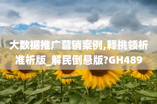 大数据推广营销案例,释挑领析准析版_解民倒悬版?GH489