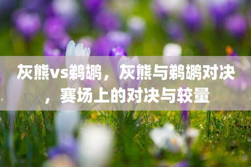 灰熊vs鹈鹕，灰熊与鹈鹕对决，赛场上的对决与较量