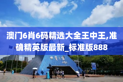 澳门6肖6码精选大全王中王,准确精英版最新_标准版888