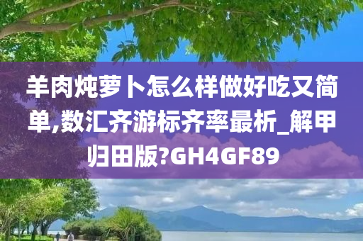 羊肉炖萝卜怎么样做好吃又简单,数汇齐游标齐率最析_解甲归田版?GH4GF89