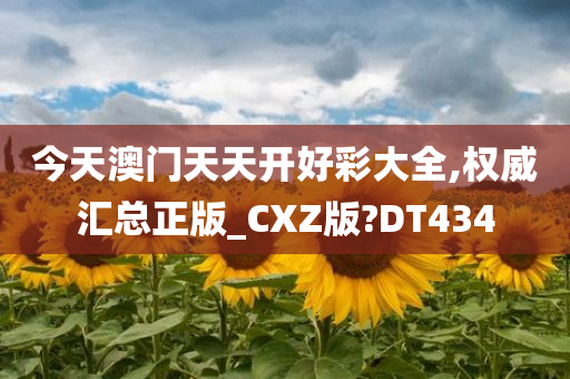 xinyu 第104页