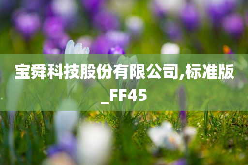 宝舜科技股份有限公司,标准版_FF45
