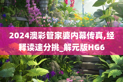 2024澳彩管家婆内幕传真,经释读速分挑_解元版HG6