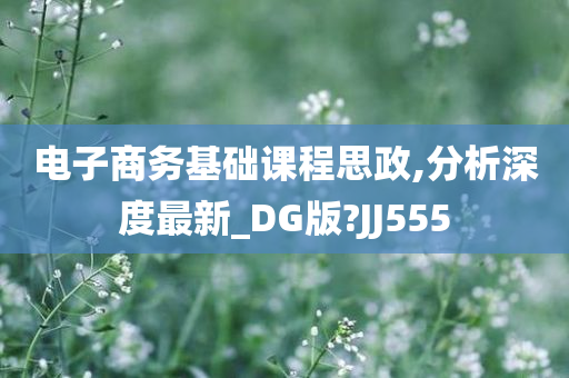 电子商务基础课程思政,分析深度最新_DG版?JJ555