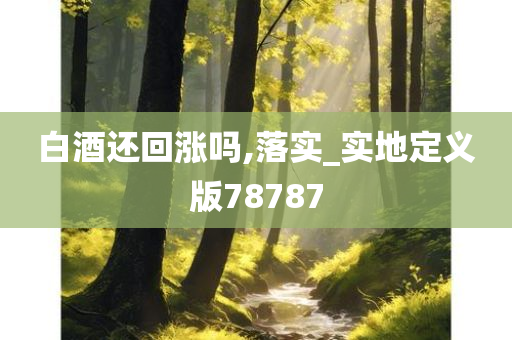 白酒还回涨吗,落实_实地定义版78787
