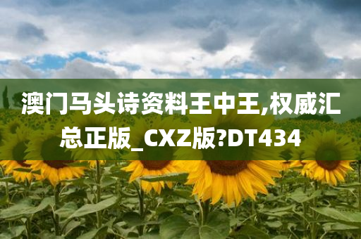 澳门马头诗资料王中王,权威汇总正版_CXZ版?DT434