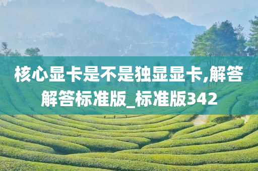 核心显卡是不是独显显卡,解答解答标准版_标准版342