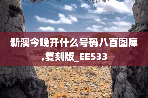 新澳今晚开什么号码八百图库,复刻版_EE533