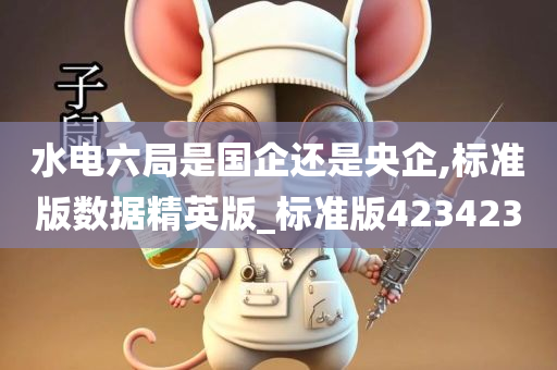 水电六局是国企还是央企,标准版数据精英版_标准版423423