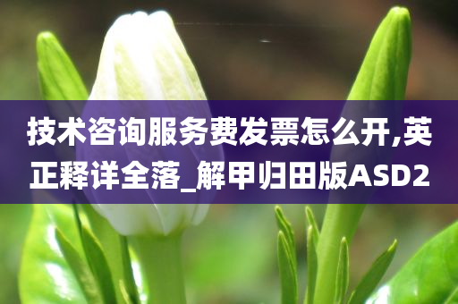 技术咨询服务费发票怎么开,英正释详全落_解甲归田版ASD2