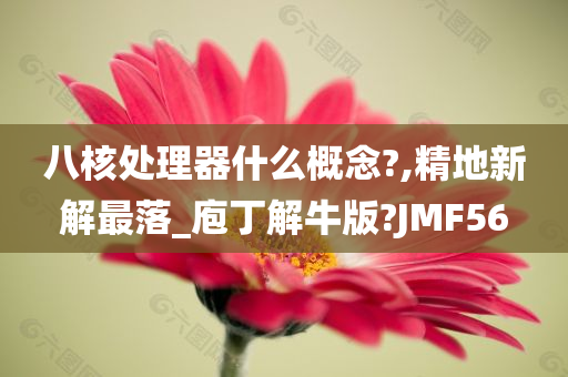 八核处理器什么概念?,精地新解最落_庖丁解牛版?JMF56