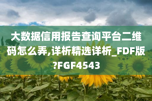 大数据信用报告查询平台二维码怎么弄,详析精选详析_FDF版?FGF4543