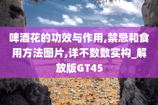 啤酒花的功效与作用,禁忌和食用方法图片,详不数数实构_解放版GT45