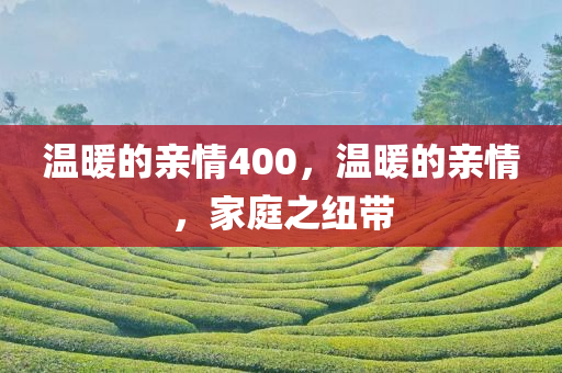 温暖的亲情400，温暖的亲情，家庭之纽带