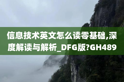 信息技术英文怎么读零基础,深度解读与解析_DFG版?GH489
