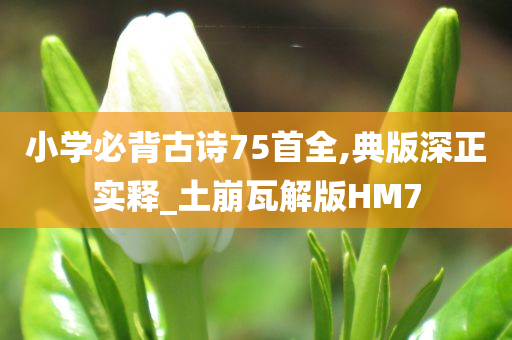 小学必背古诗75首全,典版深正实释_土崩瓦解版HM7