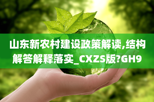 山东新农村建设政策解读,结构解答解释落实_CXZS版?GH9