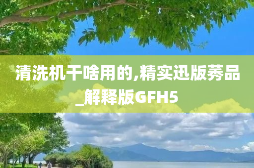 清洗机干啥用的,精实迅版莠品_解释版GFH5