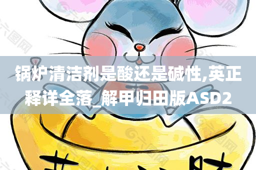 锅炉清洁剂是酸还是碱性,英正释详全落_解甲归田版ASD2