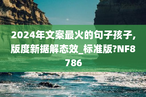 2024年文案最火的句子孩子,版度新据解态效_标准版?NF8786
