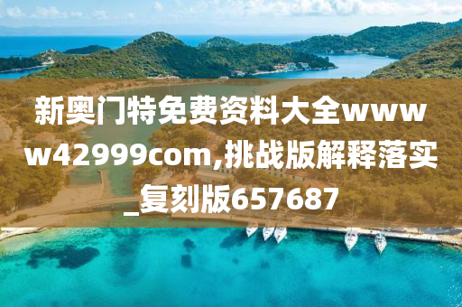 新奥门特免费资料大全wwww42999com,挑战版解释落实_复刻版657687