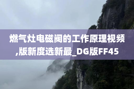 燃气灶电磁阀的工作原理视频,版新度选新最_DG版FF45