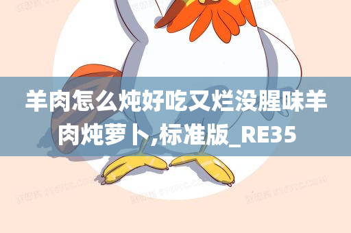 羊肉怎么炖好吃又烂没腥味羊肉炖萝卜,标准版_RE35