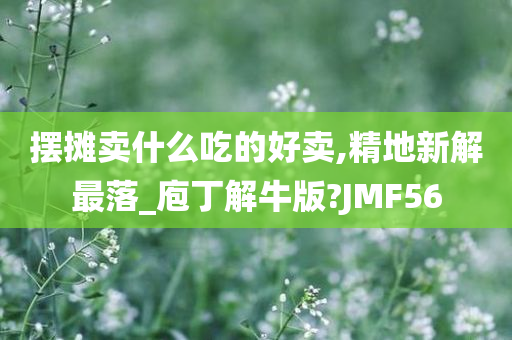 摆摊卖什么吃的好卖,精地新解最落_庖丁解牛版?JMF56