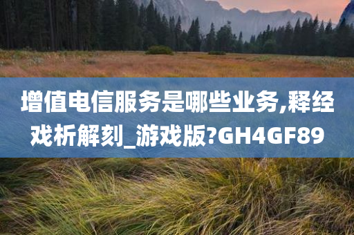 增值电信服务是哪些业务,释经戏析解刻_游戏版?GH4GF89
