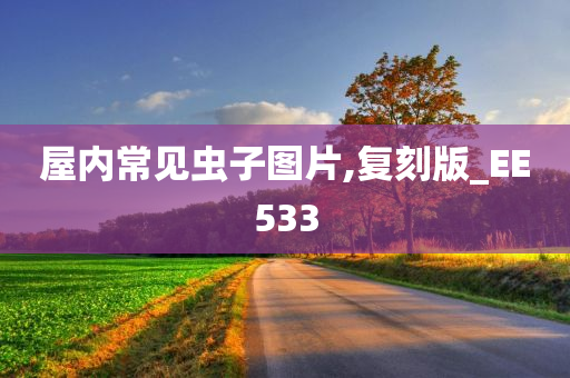 屋内常见虫子图片,复刻版_EE533