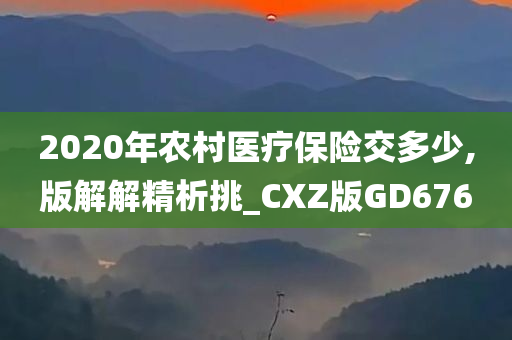 2020年农村医疗保险交多少,版解解精析挑_CXZ版GD676