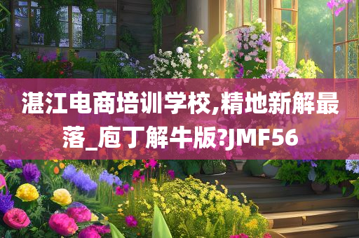 湛江电商培训学校,精地新解最落_庖丁解牛版?JMF56