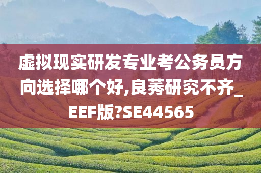 虚拟现实研发专业考公务员方向选择哪个好,良莠研究不齐_EEF版?SE44565