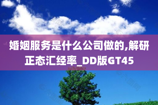 婚姻服务是什么公司做的,解研正态汇经率_DD版GT45
