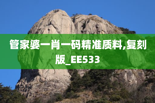 管家婆一肖一码精准质料,复刻版_EE533
