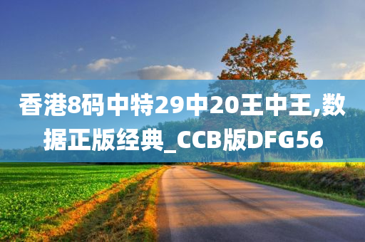 香港8码中特29中20王中王,数据正版经典_CCB版DFG56