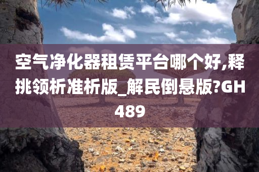 空气净化器租赁平台哪个好,释挑领析准析版_解民倒悬版?GH489